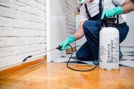 Best Fumigation Services  in Martinez, CA